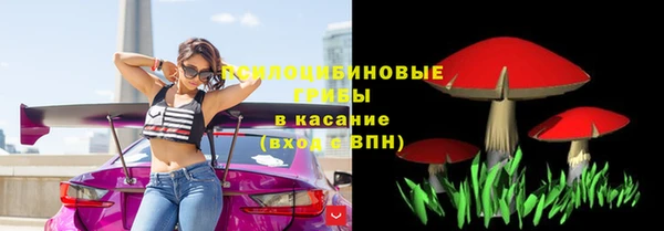 Альфа ПВП Зерноград