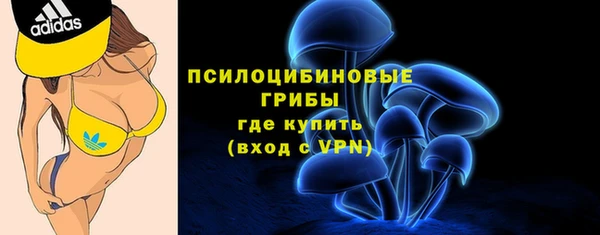 2c-b Зеленодольск