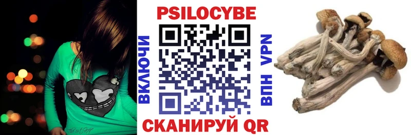 Купить закладки  Светогорск  Галлюциногенные грибы Magic Shrooms 